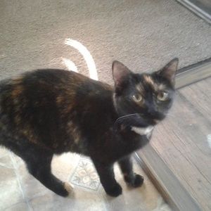 Meet your Posher, Nathan